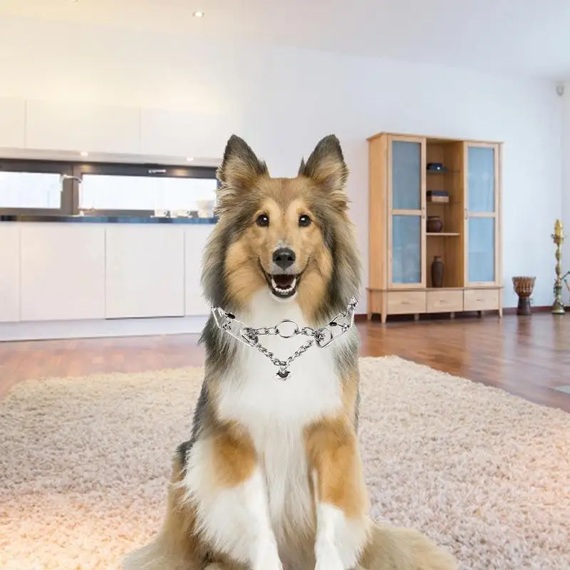 Hunde halsband Metall Eisen mit Gummi hüten Halskette Kette für das Training Haustier Sicherheit erste Lieferungen für kleine mittelgroße Hunde Welpen