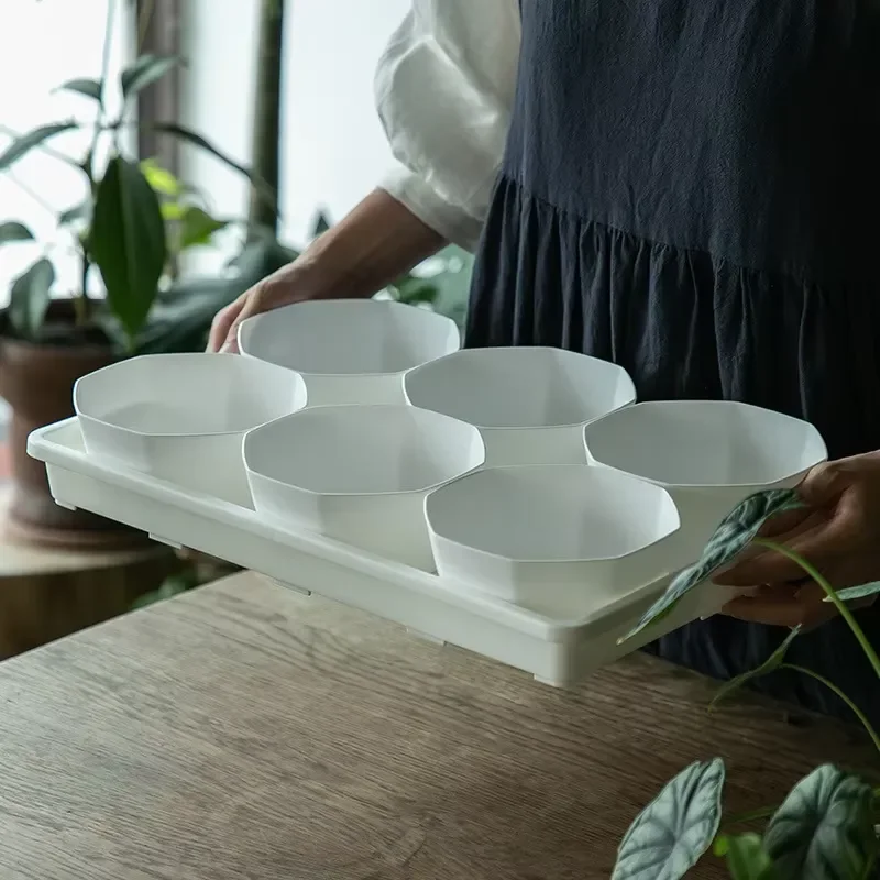 for Factory Plastic Planter and Pots Seedling Nursery Trays Garden Growing Planter for Home Hotel