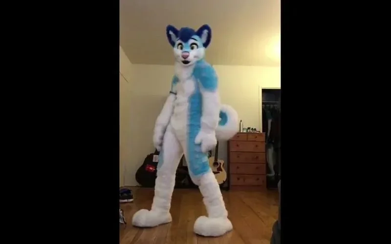 

Adult Christmas Blue White Long Fur Furry Husky Dog Wolf Fox Fursuit Mascot Costume for Cartoon Character Performance Show