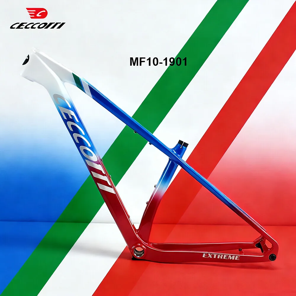 

2026 Customized Color For T1000 Full Carbon Mountain Bike Frame 148mm boost 29er MTB XC hardtial Bicycle Frameset