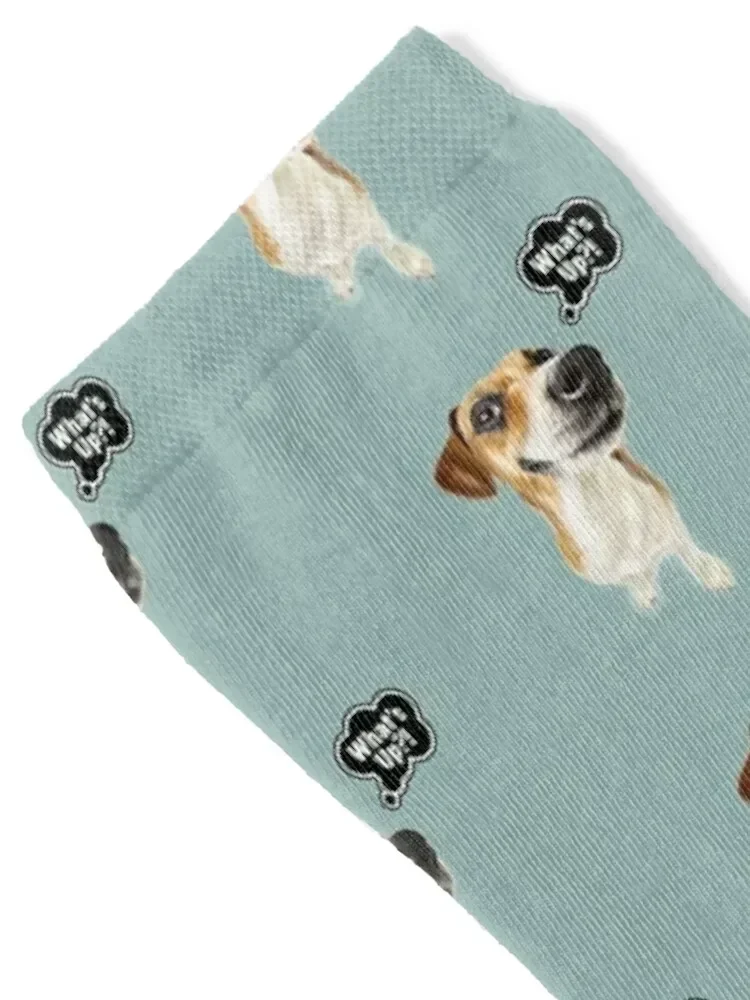 Jack Russell Terrier Whats up Dog Nose Socks designer brand Heating sock Wholesale Women's Socks Men's