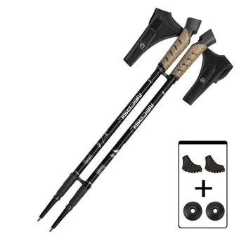 Trekking Poles 1