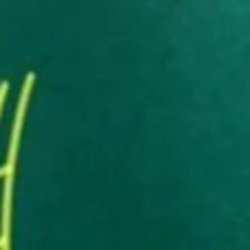 

Золотой шелк, сандаловое дерево, триггерная точка, массажные инструменты Гуа Ша, профессиональные лимфодренажные инструменты, терапевтические массажные инструменты для ног