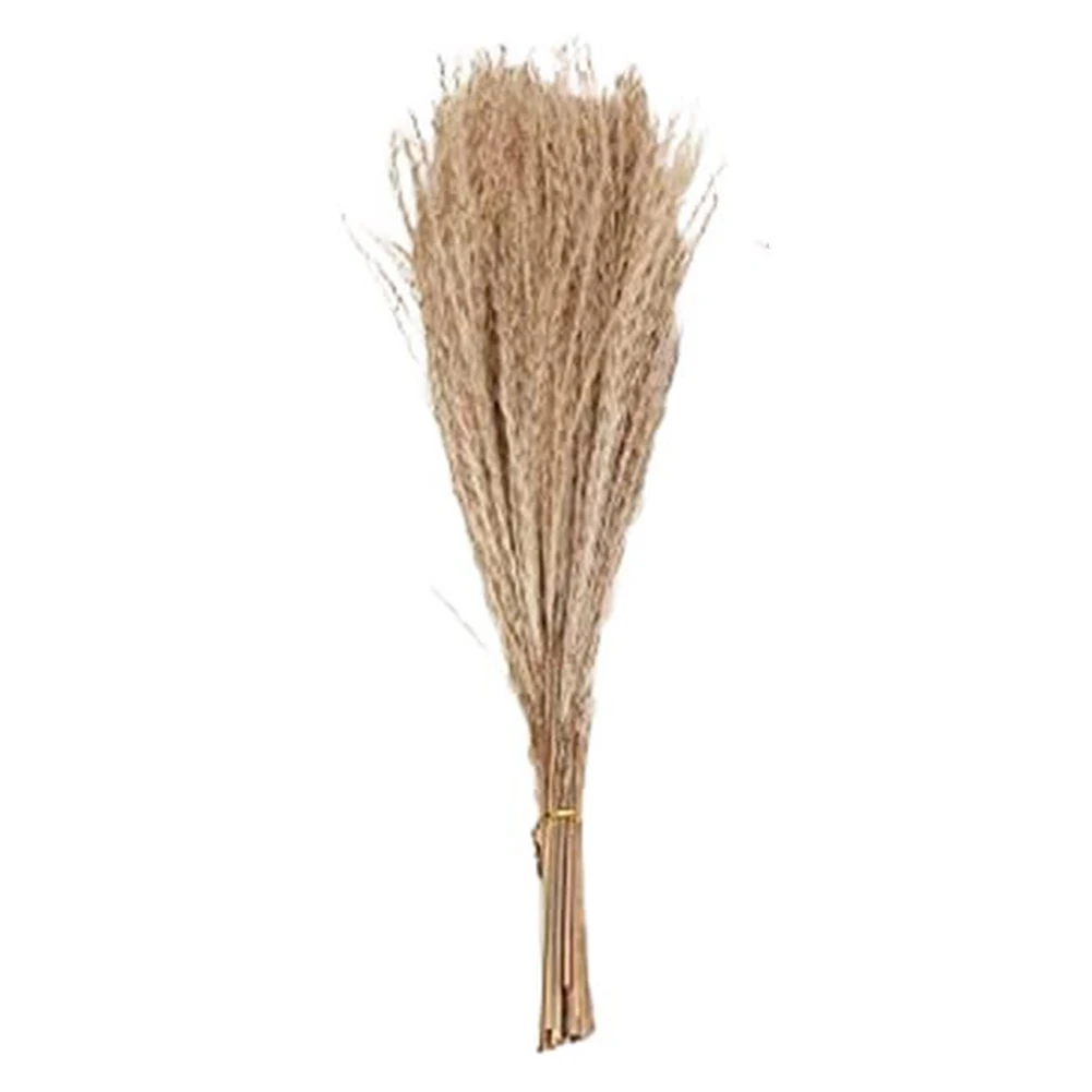 

100pcs/set Dried Pampas Grass Natural Dried Rabbit Tail Grass-Elegant Forever Flower Decoration Outdoor Home Festive Decor