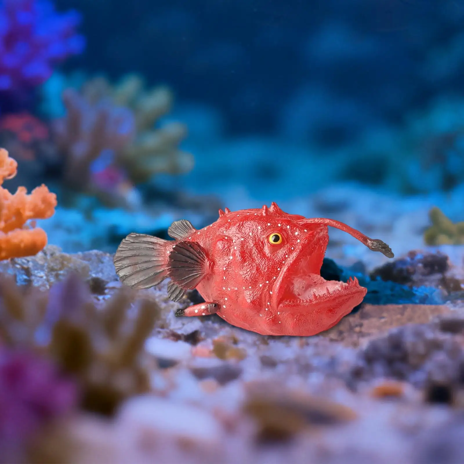 Zeevis Model Vissersvis Figuur Partij Gunst Schoolprojecten Realistisch Dierenbeeldje Leren Speelgoed voor Jongens Meisjes Kinderen