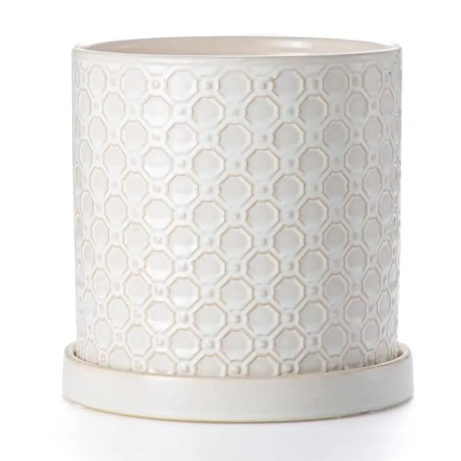 

Plant Pot: Ceramic Planter with Drainage Hole and Saucer Indoor Outdoor Plants - Cylinder Round Flower Pot for Home Office - Mo