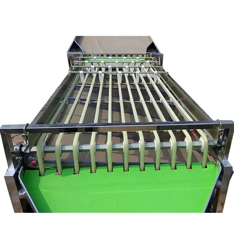 

Автоматические машины для сортировки цитрусовых фруктов (лимонов, апельсинов)