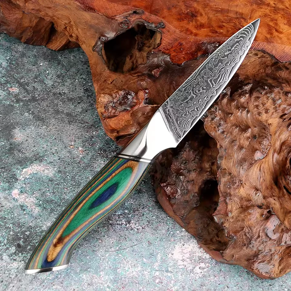 3.5 Inch Paring Knife, Japanese Damascus VG10 Steel Fruit Knife, Small Kitchen Knife, Full Tang with Green Colored Wooden Handle