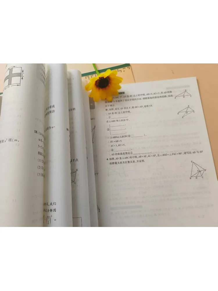Book-Winshare Full Excellence Sprint Simulation Test Paper Mathematics Grade 8 Volume 1