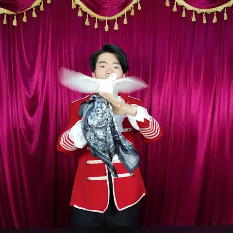 Instant Dove Production Gimmick By J.C Stage Magic Tricks Professional Object Appear Illusion Magia Magicians Prop Accessory