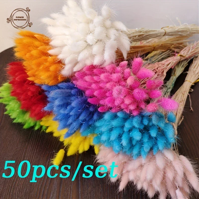 50PCS Rabbit Tail Dried Flowers Natural Bunny Tails Grass Bouquet Boho Home Decor Lagurus Ovatus Wedding Table Decor Accessories view 2