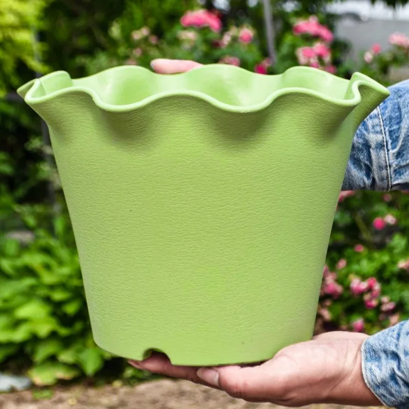 Flower Pot Lotus Leaf Edge Household Thickened Plastic Indoor Balcony Lily Wind and Wave Edge Pot 2pcs (Flower Pots Bases)