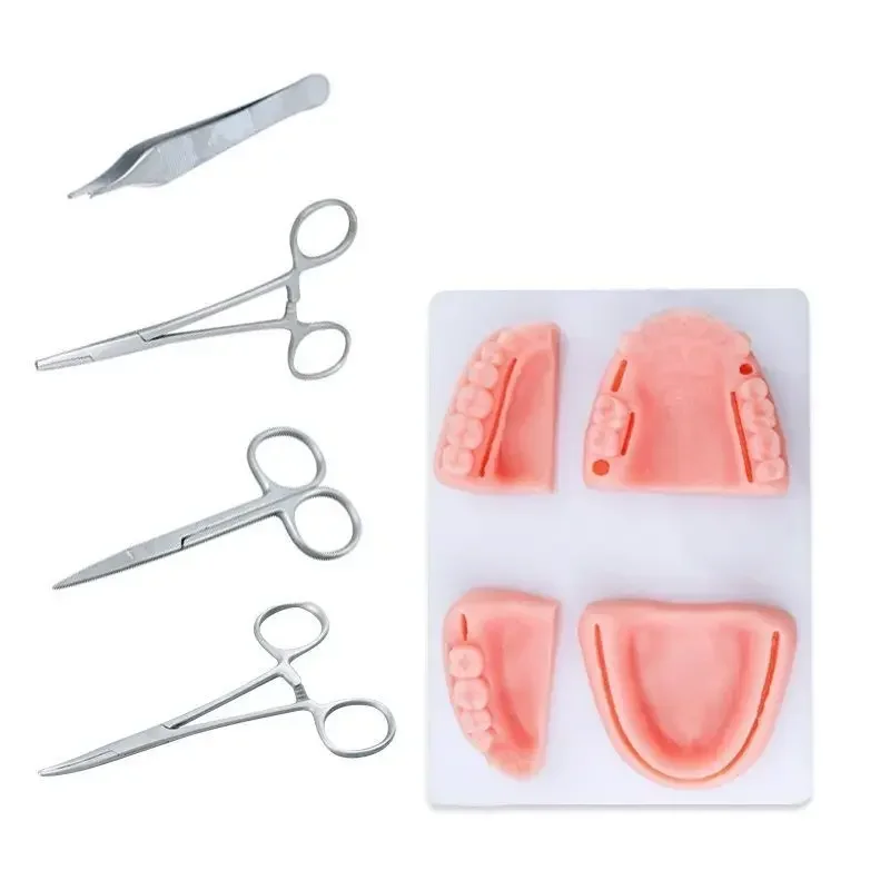 

Модель шва полости рта, инструменты с иглами и нитками, тренировка пародонта, медицинские инструменты для обучения и обучения, упражнения на навыки B