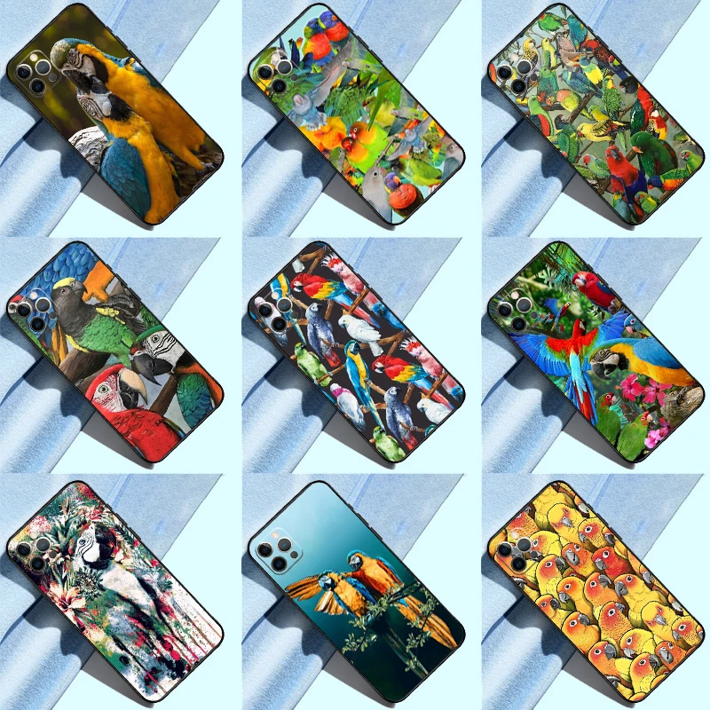 Parrots Colorful Ju… - image