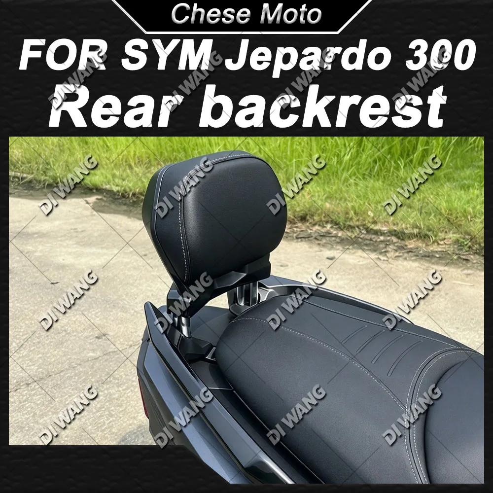 Special Dedicated Rear Passenger Backrest Lumbar Waist Support For SYM Jepardo 300 Motorcycle Safety Backrest Pad