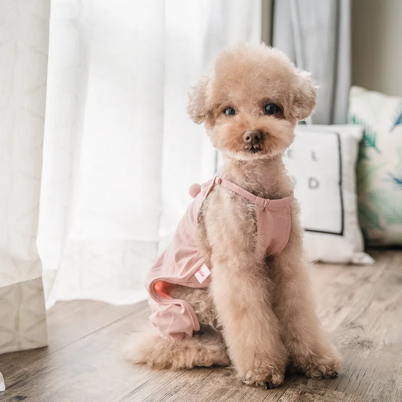 Summer Dog Clothes Jumpsuit Cute Pets Rompers Overalls Pants Pomeranian Shih Tzu Maltese Poodle York Apparel Dog Dress Clothing