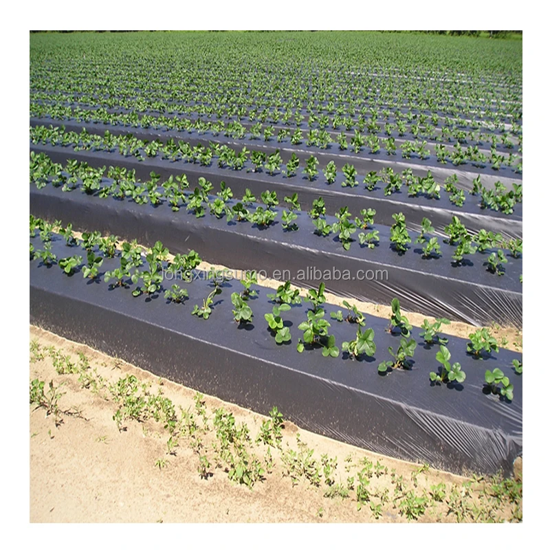 

2025Agricultural LLDPE Mulch Film Ground Cover Sheeting 20/30/50μm