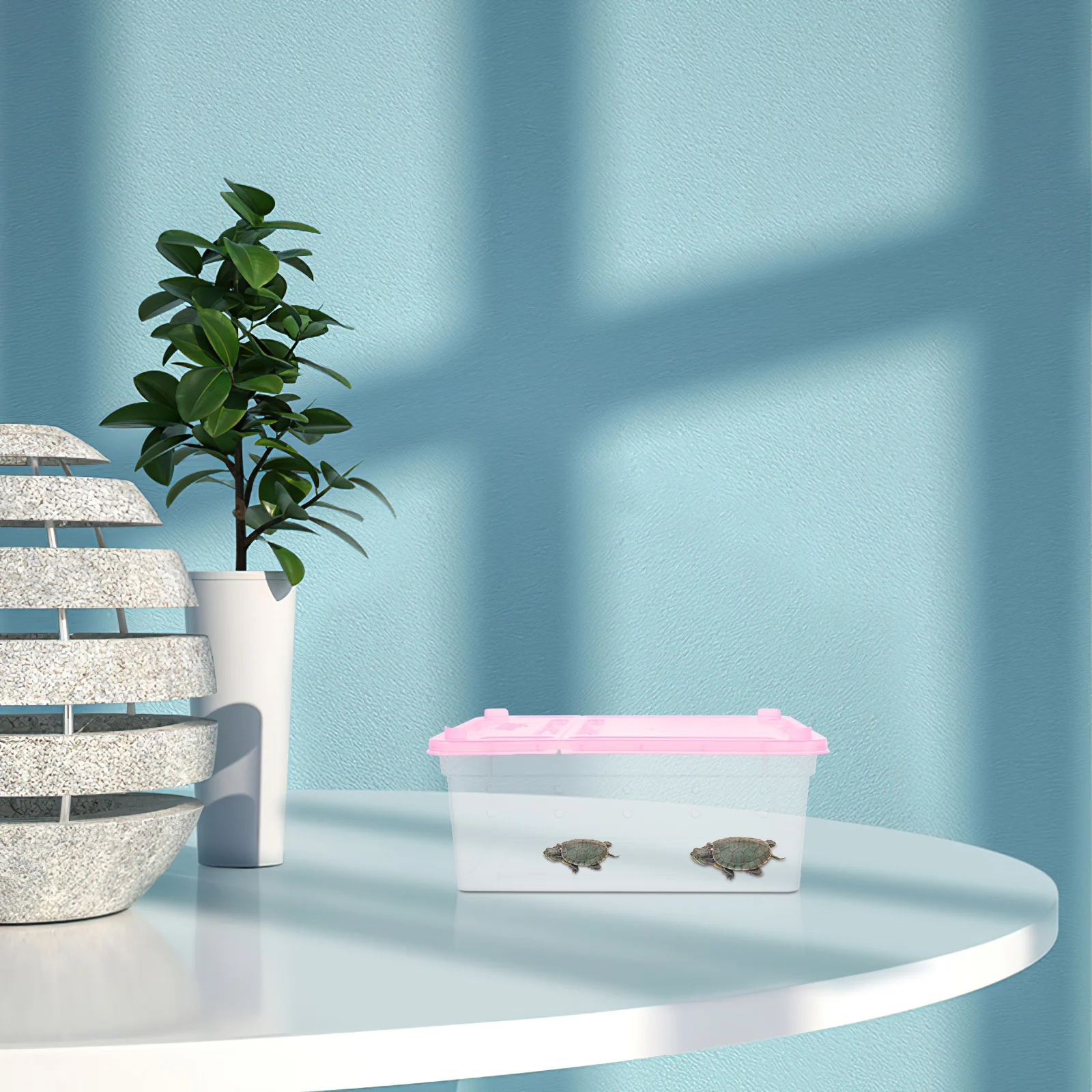 

2pcs Feeding Box Portable Transparent Breeding Cage For Pet Snail Reptile Gecko Tortoise Plastic Ventilated Keeper
