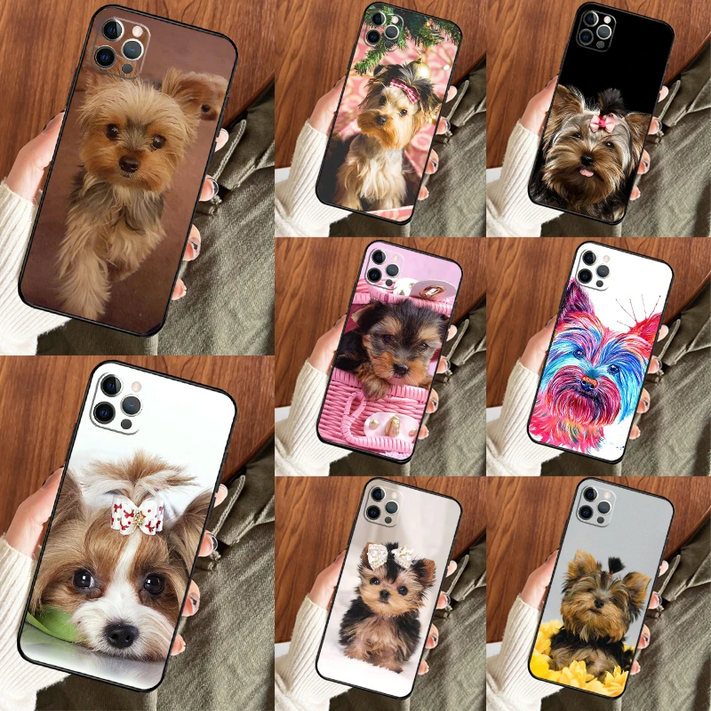 Yorkshire Terrier D… - image