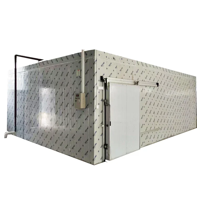 Freezer Cool Fresh Vegetable Meat Seafood Food Supermarket Cargo Large Cold Room Storage Equipment Cold Room Freezer Room