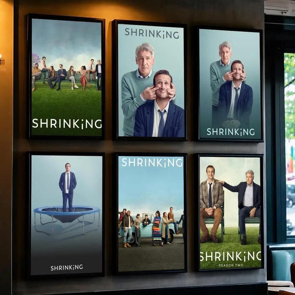 tv series S-Shrinking-G Poster Decorative Wall Art Sticker for Cafe Office Bedroom and Living Room