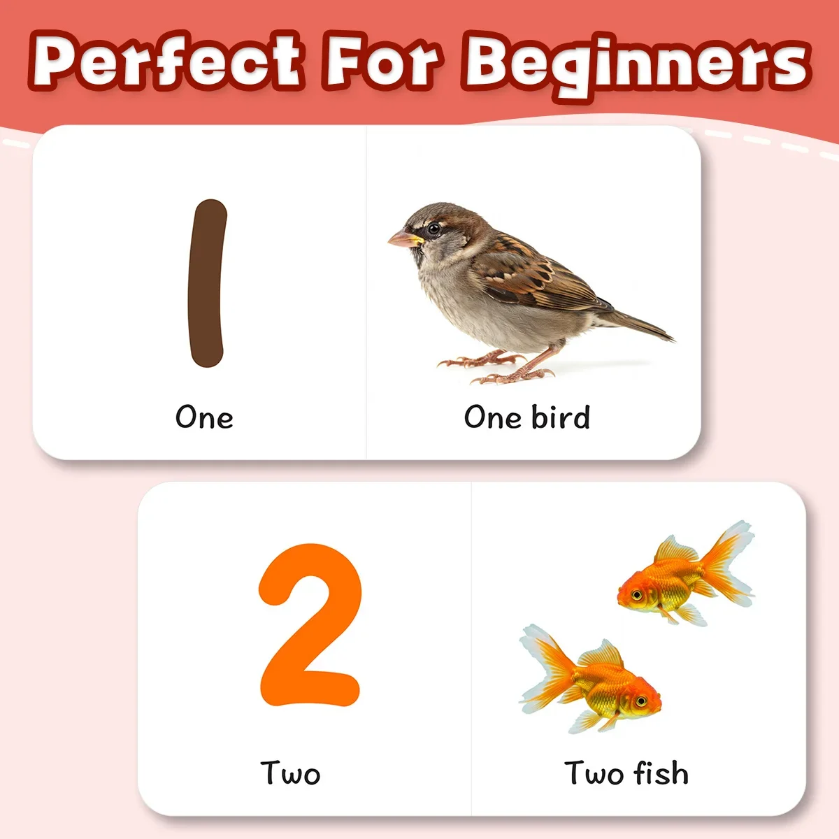 Numbers Early Learning Word Book for Kids Illustrated Picture Book with 123 Counting Activities Build Math Awareness and