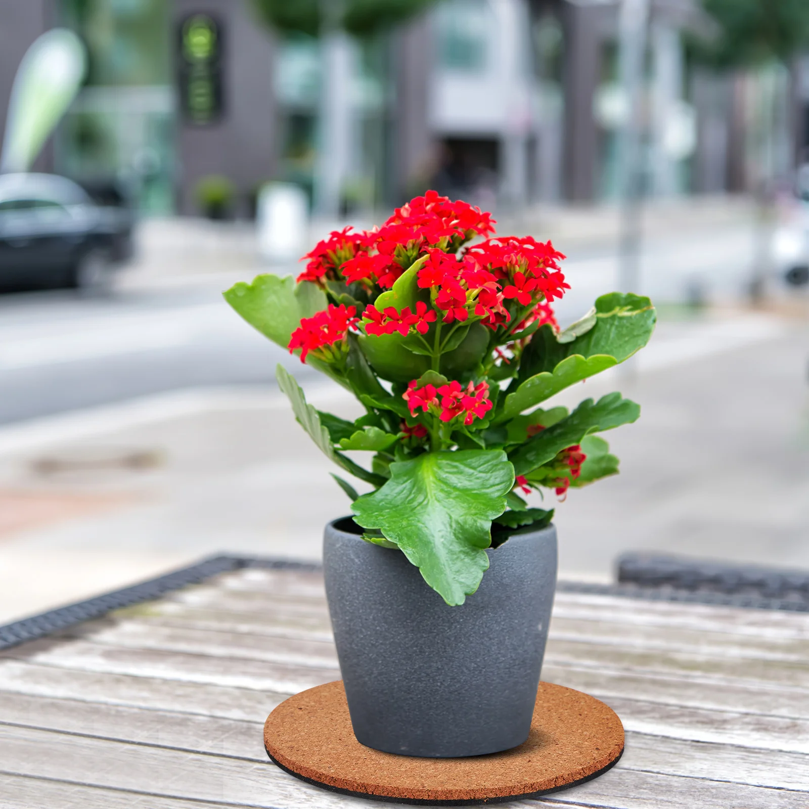 

9Pcs Plant Coasters Cork Plant Mat Set with Non-Slip Bottom for Indoor Outdoor Pots DIY Decor Craft Use Cork Coasters