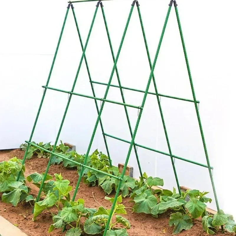 

1Pc 3 Horizontal 6 Vertical Sturdy Plant Support Climbing Trellis for Garden Vegetables PVC-coated steel pipe support stakes