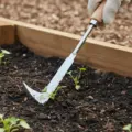 Crevice Weeder
