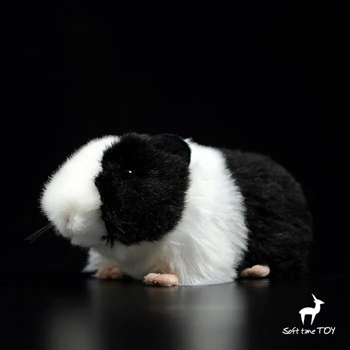 Black guinea pig , realistic guinea pig stuffed , Dutch pig Knickknack,nicknack,Small ornaments and miniature models