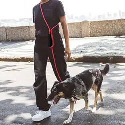 Dog Leash Hands Free Dogs Leash 3M Long Waterproof Leashes for Dog Walking Reflective Double-headed Dogs Leashes 3M Pet Chain