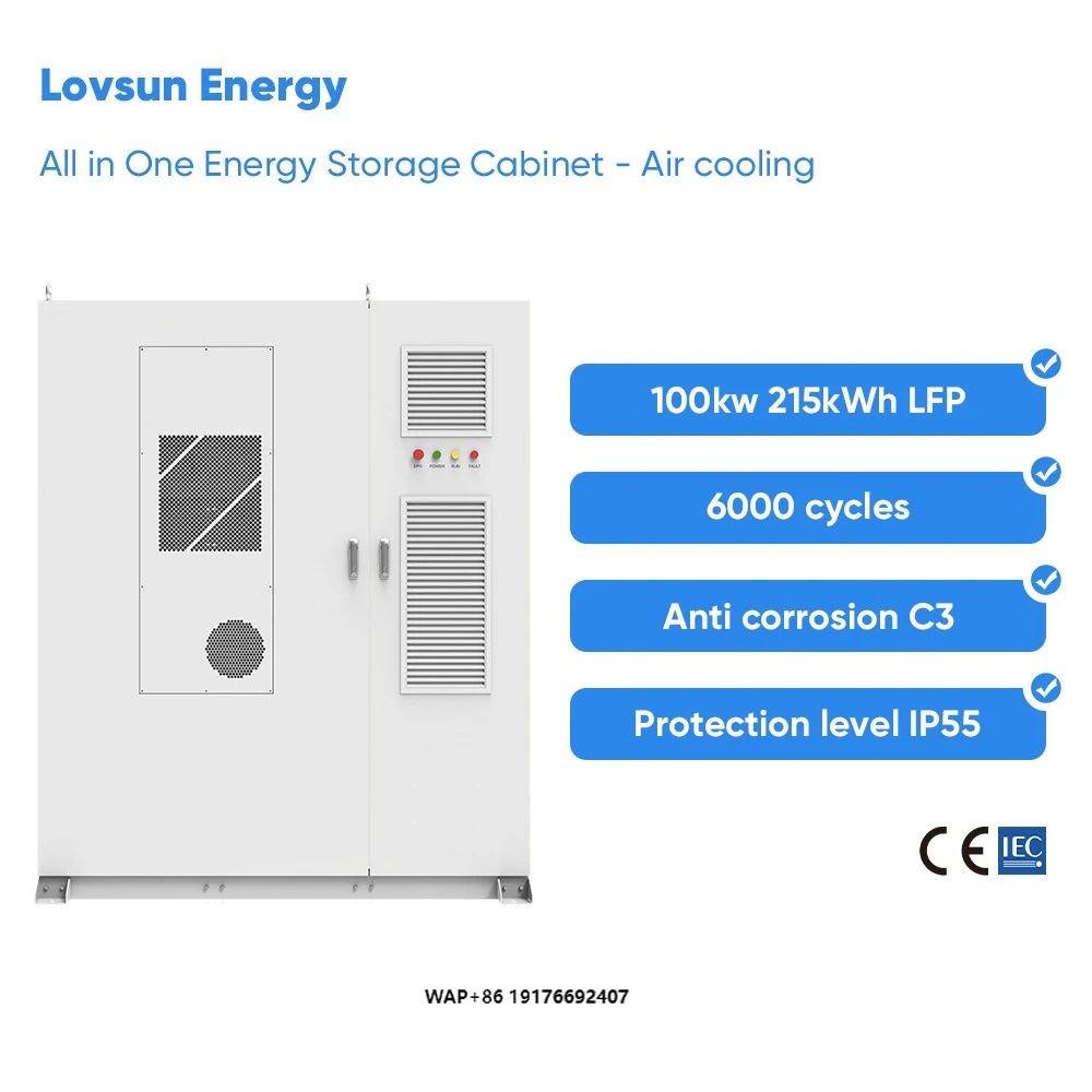 Dyness  All in ONE 100kw 215kwh LiFePO4 Battery Pack Container Ess Energy Storage Container Commercial Energy Storage System