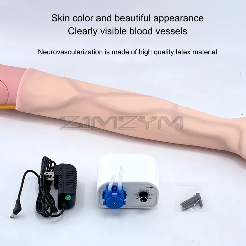 Venous puncture arm model,infusion training mold,simulated arm injection practice medical model Arm blood drawing training model