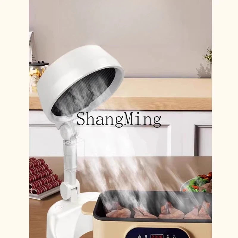 ZYY cappa da tavolo barbecue pentola calda mobile scarico di fumo barbecue domestico piccolo