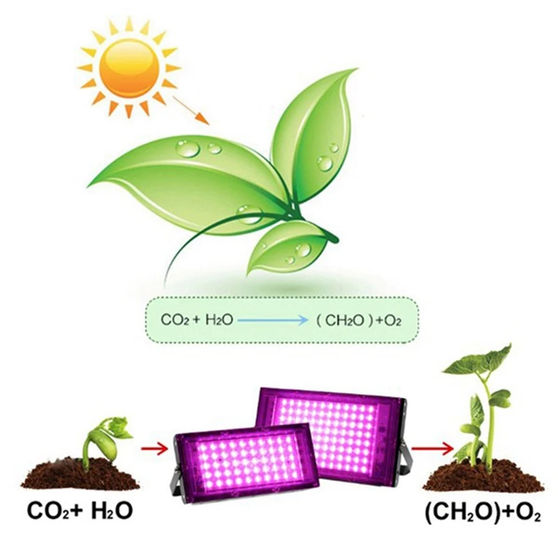 Rośliny Lampa LED do uprawy 500W Pełne spektrum Lampa fito Oświetlenie do wzrostu szklarni