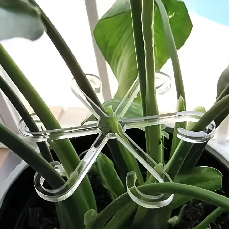 Plant Fixing Clip Plastic Climbing Support Frame Adjustable Flower Stem Gathering Frame Vegetable Orchard Garden Courtyard