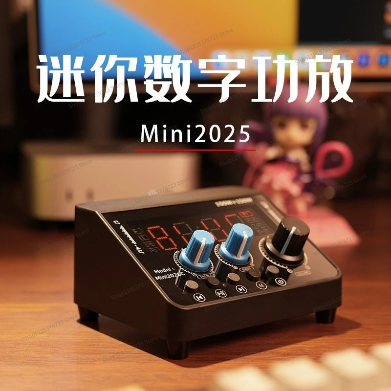 For Bluetooth Digital Amplifier Hifi Audiophile USB Flash Drive Player High Power Low Power