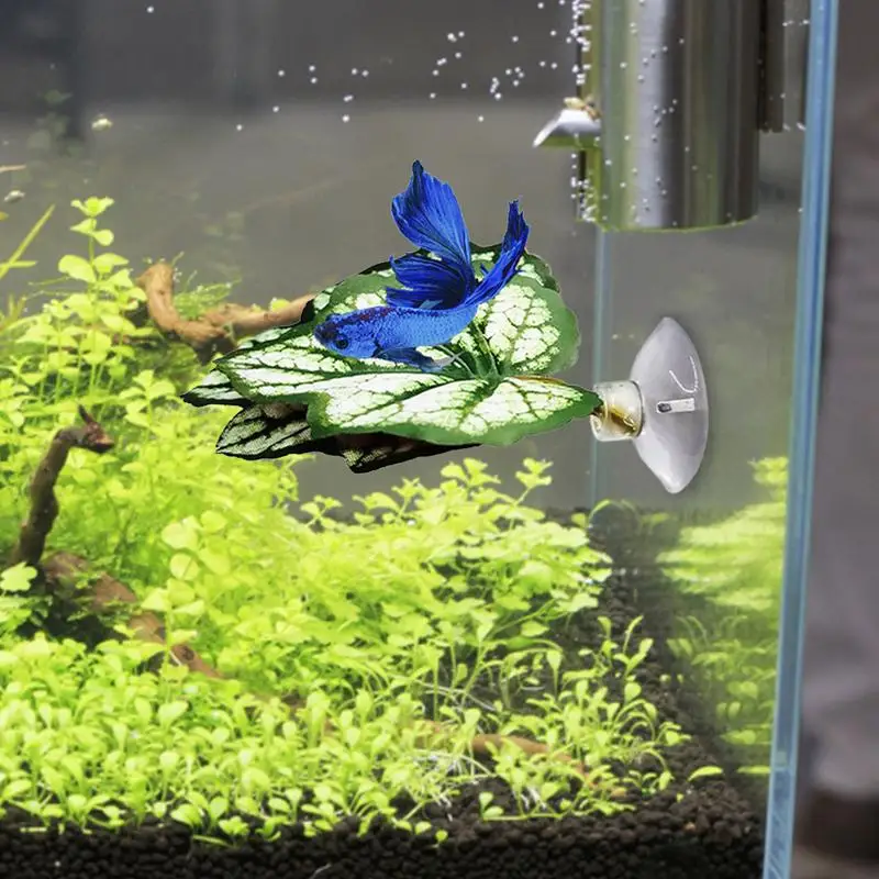 Betta Fish Leaf Hammock Fish Tank Accessories Betta Fish Leaf Bed Pad Plant Leaf Pad Fish Spawning Grounds Breeding Resting Bed