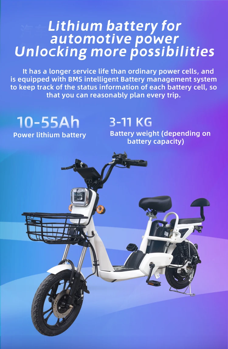 OEM 14 Inch Dual Oil Pressure Disc Brake Electric Bike Two Seat электровелосипед 350W 48V 20Ah Lithium Battery Electric Bicycle