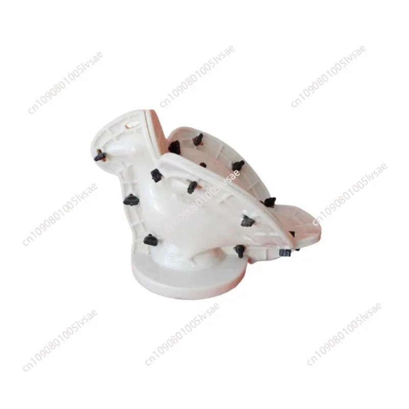 ABS GRC Cute DIY Die Pigeon  Wing dove Peacock Cement Concrete Villa Home Balcony Gardening Animal Statue Round Ball