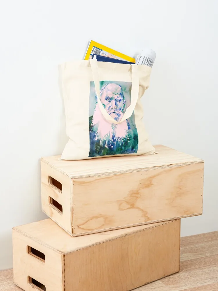 LEO TOLSTOY watercolor portrait.6 Tote Bag shopper bag women custom fabric bag Canvas stote Beach