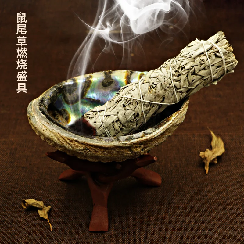 

Cross-border hot sale Wholesale White Salvia Officinalis Smoked Accessories Shell+Shengmu Bracket Props Cigarette Supply Invento