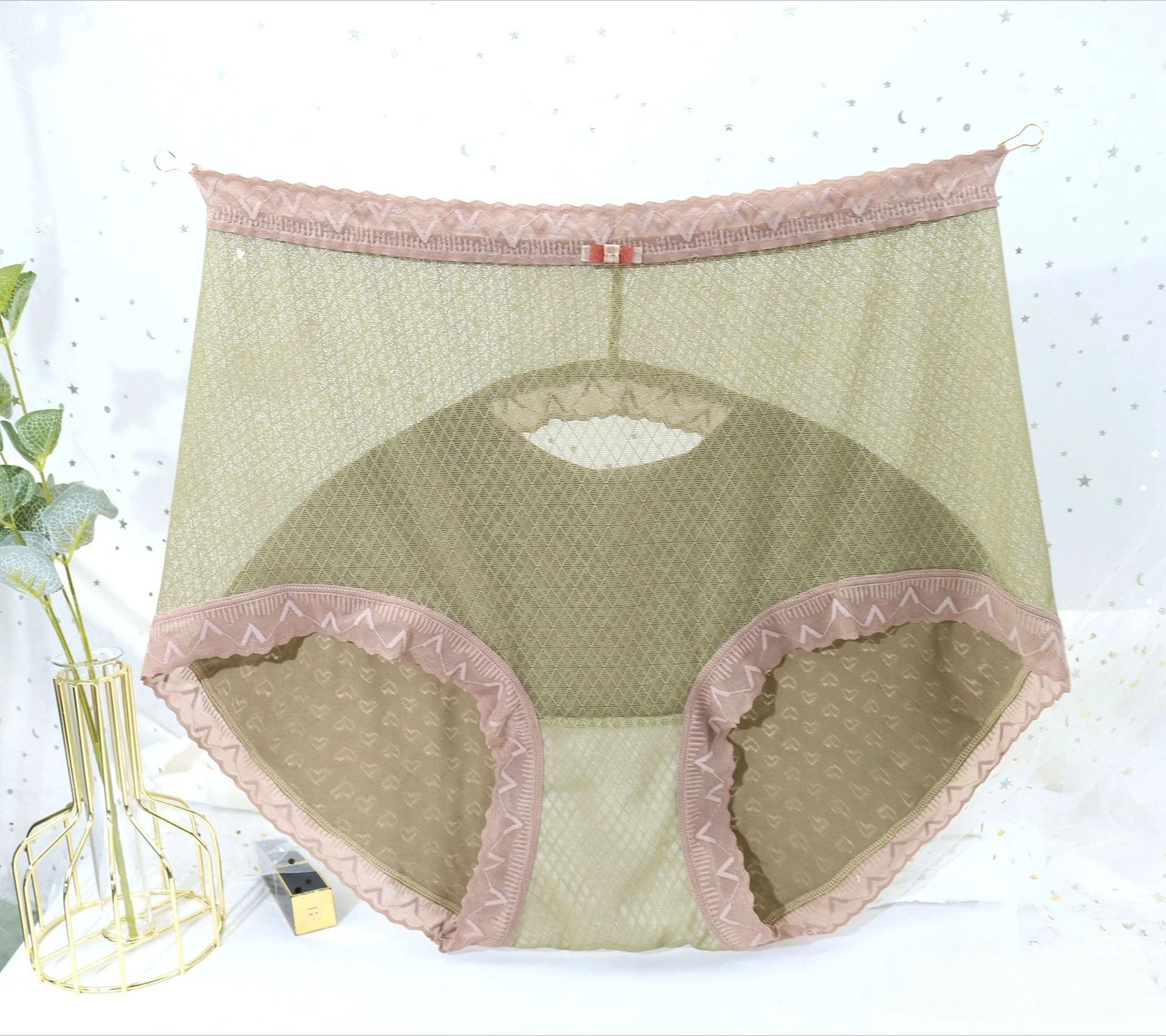 Sheer Mesh Lace Hipster   Ultra Stretch Seamless Panty with Delicate Cutouts   Cotton Lined Hygienic Gusset