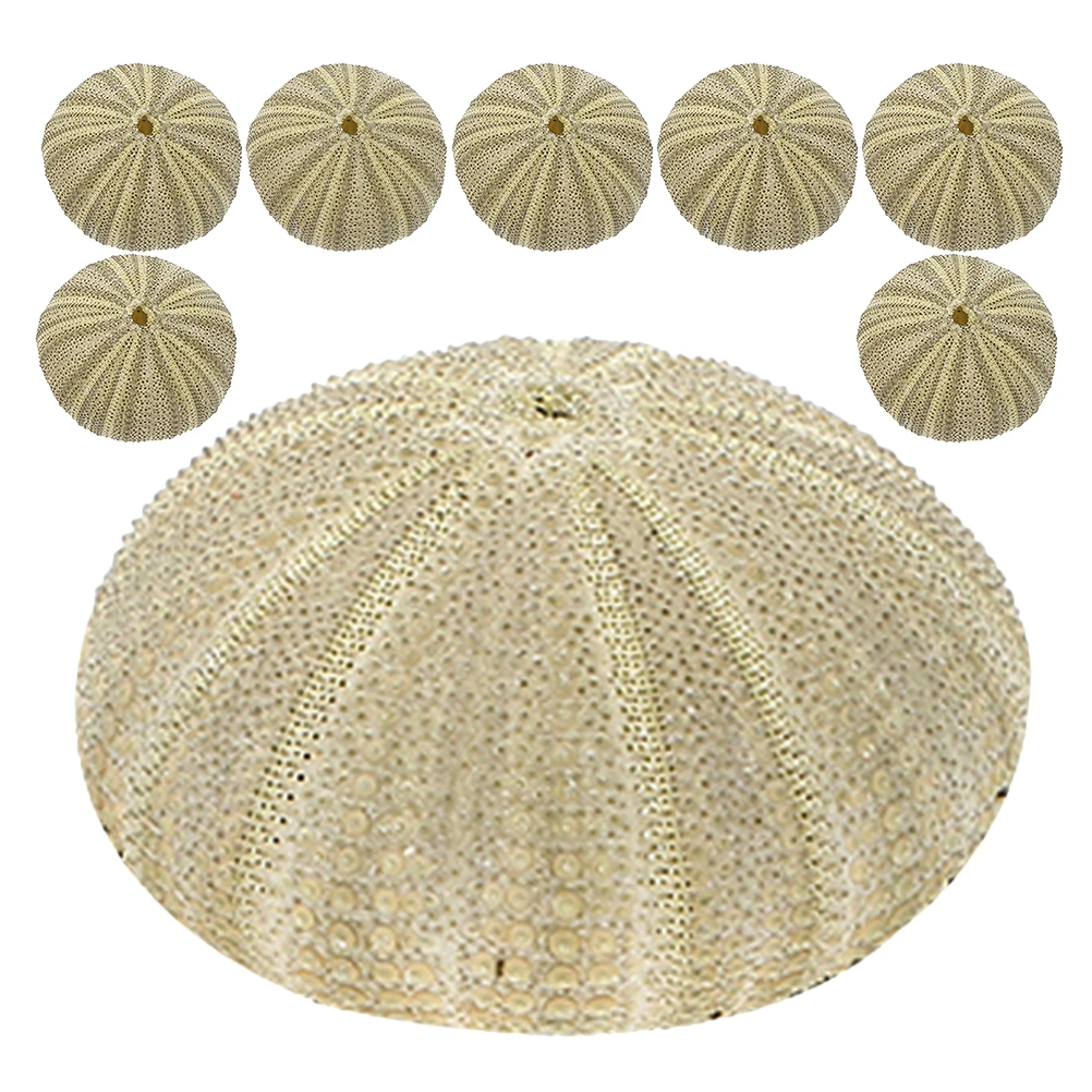 8Pcs Natural Sea Ur… - image