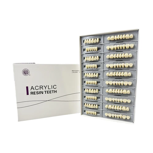 Imagen 2 del producto 140 unids/caja dentadura postiza de resina superior inferior A2 dentadura preformada Artificial dientes de resina sintética Dental modelo educativo acrílico
