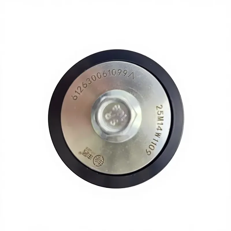 New Starchain Idler Wheels/Belt Tensioner Pulley for WP10/WP12/WP13 Engines Heavy Truck CNHTC 612600061099