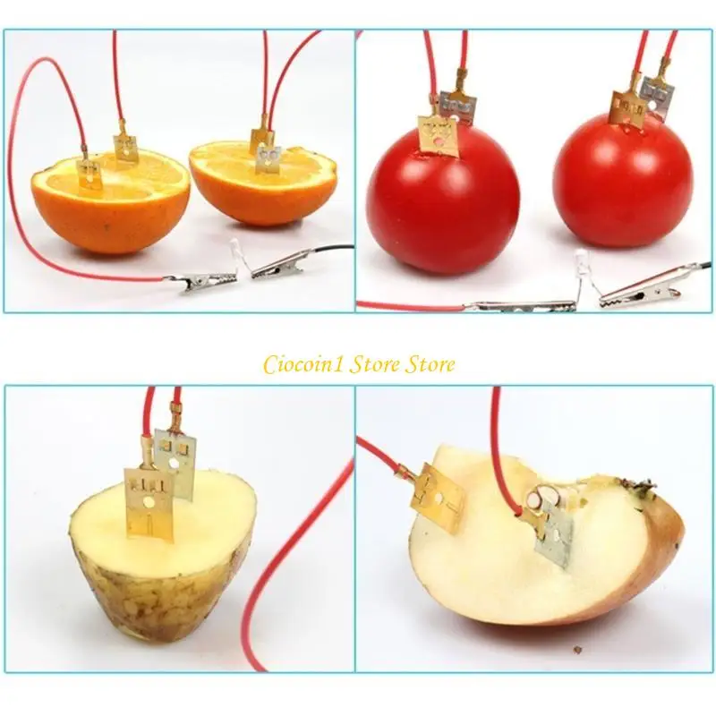 

A3PC Hands on Fruit Power Generation Model Assembly Toy Children Educational Toy Teaching Tool for Science Lesson