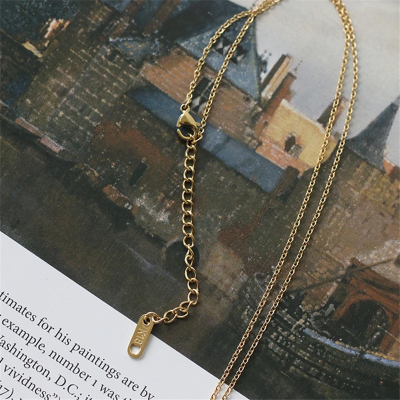 Titanium Steel Plated 18K Gold Lion Sculpture Coin necklace Fine Polished Animal Pendant for Women Clavicle Chain Choker Jewelry