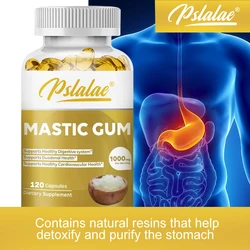 Mastic Gum Supplement - Improves Digestion, Gut and Cardiovascular Health