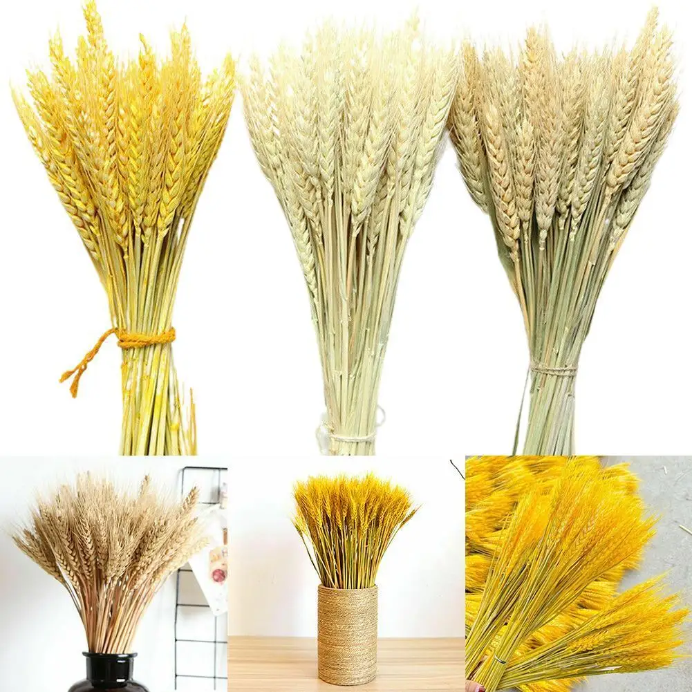 10pcs Natural Wheat Ear Dried Flower Immortal Real Decoration Natural Flower Mall Air-dried Decoration Wedding Bouquet